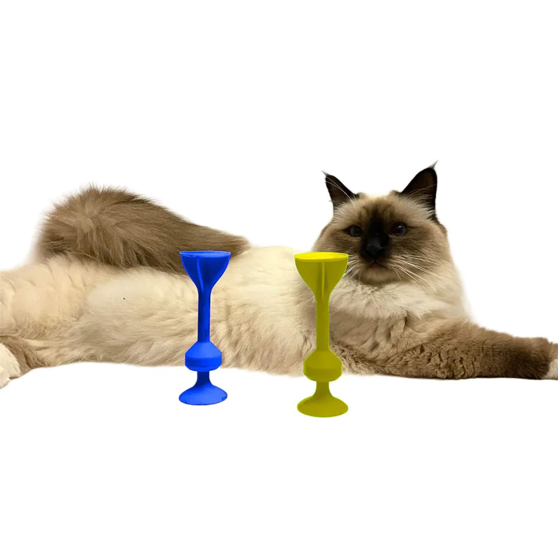 Notre chat Snow adore jouer à TOSSIT avec nous.